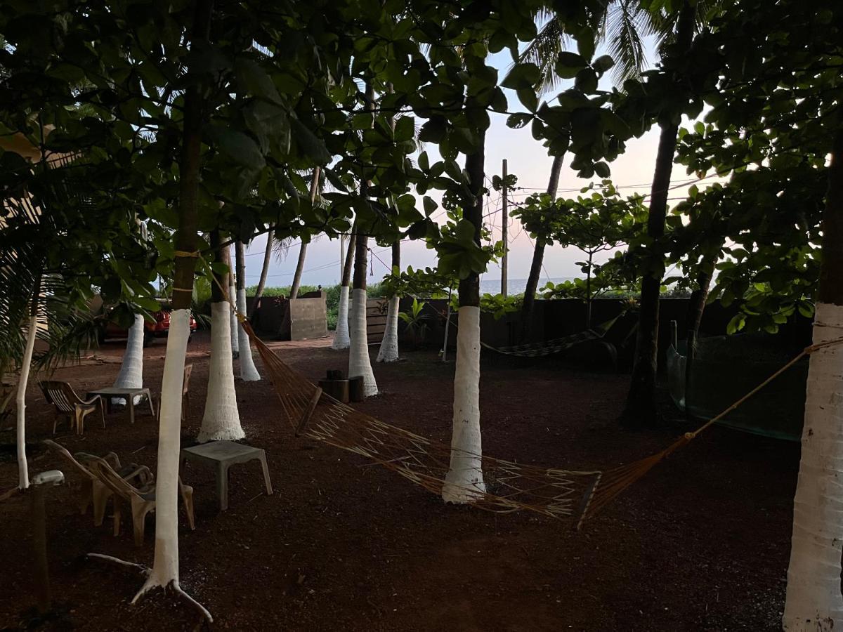 Kizhunna Rock Beach House Kannur Ngoại thất bức ảnh